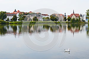 Lonely seagull floating on a background of Schwerin, Germany