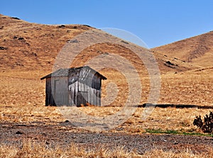 Lonely Shed