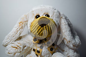 Lonely soft toy teddy bear on a white background in brown shades