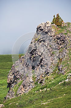 Lonely stone cliff with a cedar tree on the top