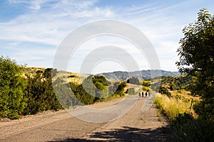 A lonely stretch of hiking paved road through the hills of Irvine Open Space Park