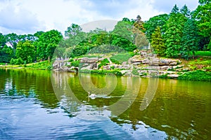 The lonely swan on the middle of Ionian Sea Lake of Sofiyivka Park, Uman, Ukraine