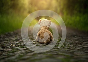 Lonely teddy bear on the road photo