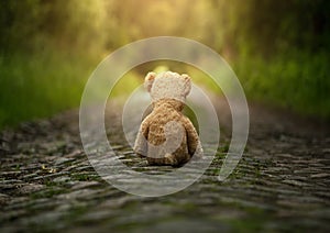 Lonely teddy bear on the road