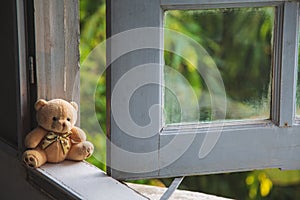 Lonely teddy bear sitting on a frame of window and looking at outside window with green nature background