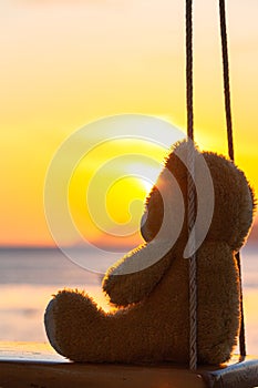 Solitario un orso sul un'altalena Spiaggia 