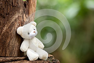 Lonely teddy sitting alone at woodl on nature background