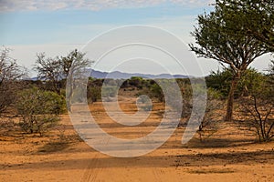Lonely tire track on dirt road in Africa