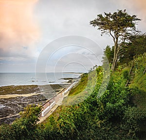 Lonely tree and beach cabins