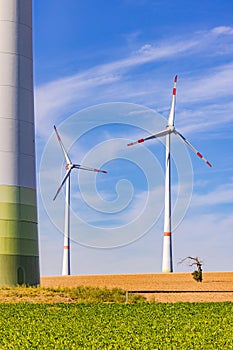 Lonely tree in dry field next to huge wind turbines in sunshine as upright image