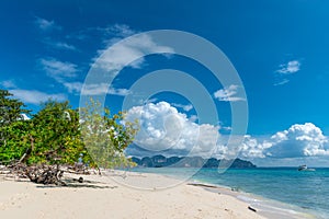 lonely tree and empty beach at Poda Island