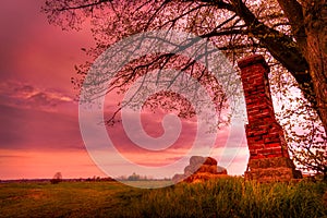 Lonely tree , haystack sunset