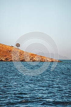 Lonely tree on island in Aegean sea landscape nature destinations