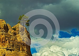 Lonely Tree on large rock against cloudy sky