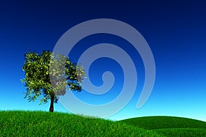 Lonely Tree in a meadow 3D render