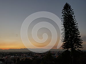 lonely tree on a mountain in Mexico City at dusk