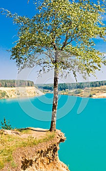 Lonely tree over blue lake on sky background