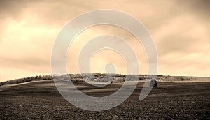 A lonely tree on a plowed spring field and a dramatic sky. Monochrome. Broun