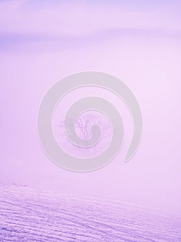 A lonely tree in a purple mist, a fantastic, surreal fairy-tale landscape