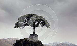 Lonely tree on rock top. Mixed media