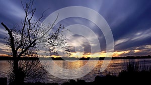 lonely tree on the shore and a magical sunset with a dark blue sky