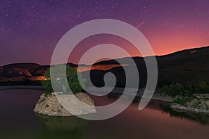 Lonely tree in small lake at night time