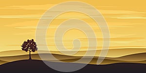 Lonely tree in the sunset