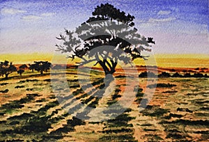 Lonely tree at sunset in the middle of the field. Illustration. Watercolor. Hand drawn.