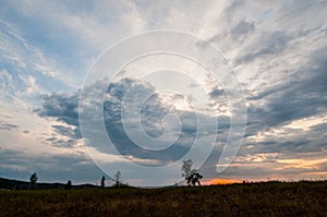 A lonely tree on top of a rock under a heavy cloudy sky