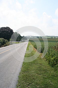 A lonely two lane road cutting through farm land in Lancaster, Pennsylvania, USA waiting to be explored.