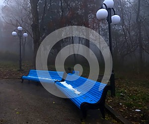 A a lonely walk in the autumn park