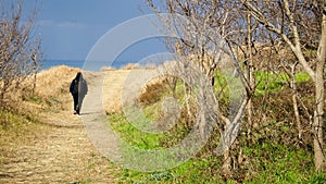 Lonely walk in Tottori