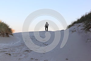 Lonely walker in Ameland dunes, Netherlands photo