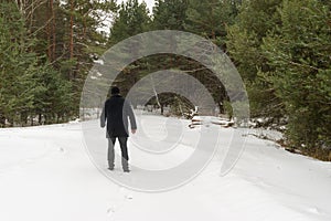 Lonely wanderer on the edge of winter forest