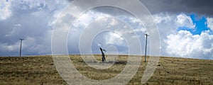 Lonely wind swept tree and crow in a desolate Australian landscape