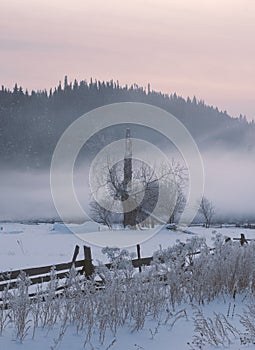 Lonely winter tree. Sweet loneliness. Cold and cloudy day with lots of snow. Winter snow blizzard and fog in forest near the