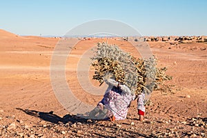 Lonely woman carrying a load of wood in desert Morocco 11 january 2017