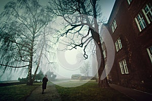 Lonely woman in the foggy park