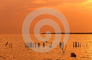 Lonely wooden fisherman boat with the seagulls when sunset / sunrise on the sea