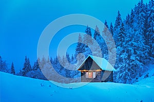 A lonely wooden house surrounded by snowy pine trees