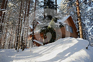 Lonely wooden log house among a winter pine forest, large snowdrifts around, a clear sunny day, snow on the branches of trees