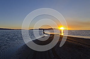 The loner on the edge of the shores at the salty lake