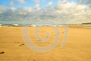 Lonesome beach of the Baltic Sea