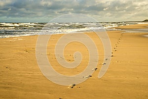 Lonesome beach of the Baltic Sea