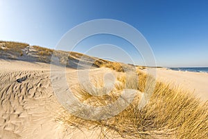 Lonesome beach of the Baltic Sea