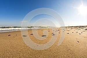 Lonesome beach of the Baltic Sea