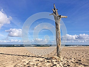 Lonesome beach of the Baltic Sea