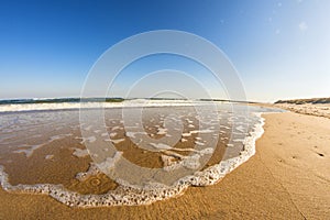 Lonesome beach of the Baltic Sea with blue sky