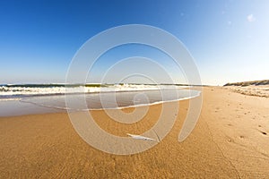 Lonesome beach of the Baltic Sea with blue sky