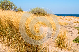 Lonesome beach of the Baltic Sea with blue sky and dunes